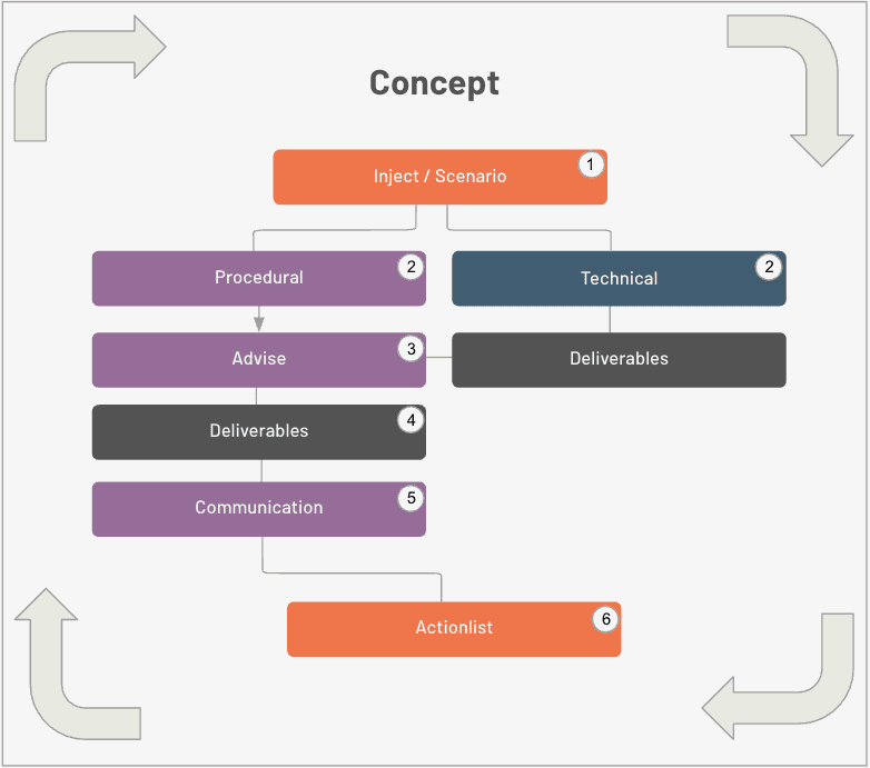 Structure of the exercise